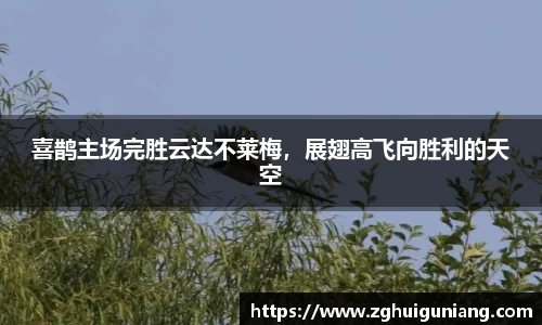 zoty中欧体育官网