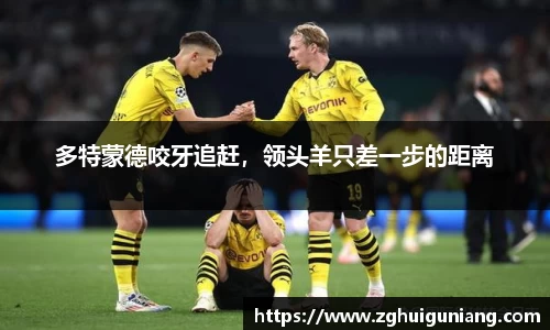 zoty中欧体育官网