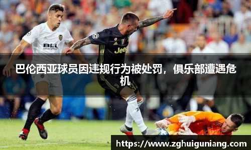 zoty中欧体育官网